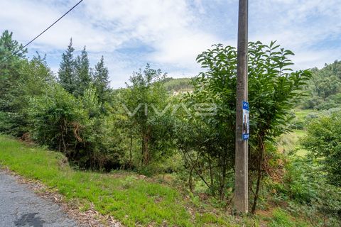 Helårsgrund i Vila Verde, Braga, Vila Verde - € 29.500 | Ref: 01-3274 - foto 3