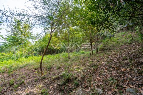 Helårsgrund i Vila Verde, Braga, Vila Verde - € 29.500 | Ref: 01-3274 - foto 4