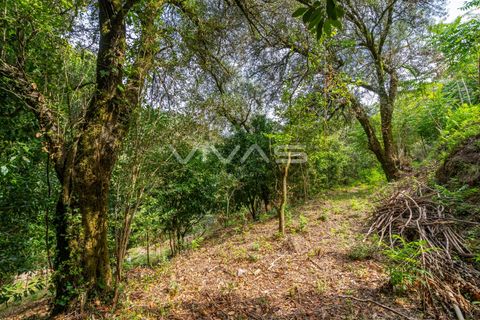 Helårsgrund i Vila Verde, Braga, Vila Verde - € 29.500 | Ref: 01-3274 - foto 5