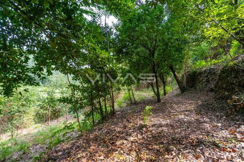 Helårsgrund i Vila Verde, Braga, Vila Verde - € 29.500 | Ref: 01-3274 - foto 10