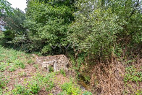 Helårsgrund i Vila Verde, Braga, Vila Verde - € 29.500 | Ref: 01-3274 - foto 11