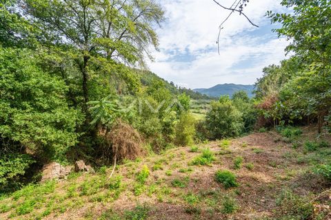 Helårsgrund i Vila Verde, Braga, Vila Verde - € 29.500 | Ref: 01-3274 - foto 12