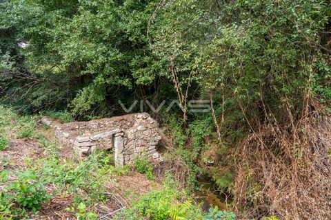 Helårsgrund i Vila Verde, Braga, Vila Verde - € 29.500 | Ref: 01-3274 - foto 13