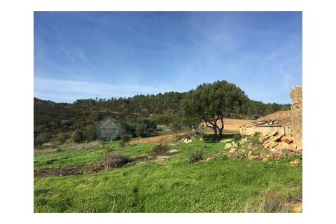 Terra a Bordeira, Faro, Bordeira - € 2.000.000 | Ref: T1556 - foto 3