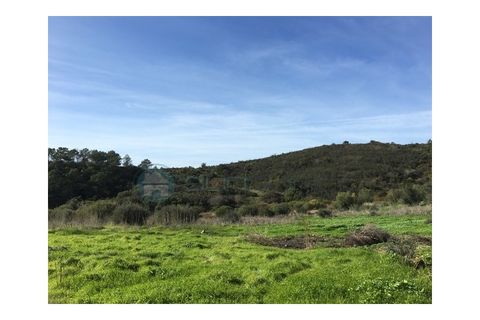 Terra a Bordeira, Faro, Bordeira - € 2.000.000 | Ref: T1556 - foto 4