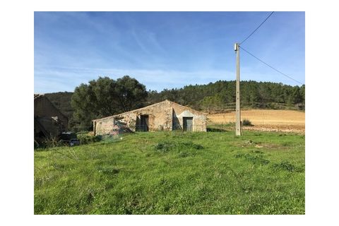 Terra a Bordeira, Faro, Bordeira - € 2.000.000 | Ref: T1556 - foto 5