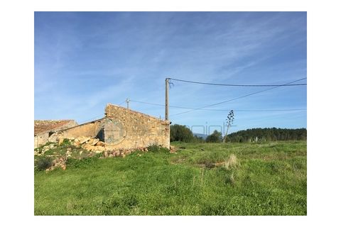 Terra a Bordeira, Faro, Bordeira - € 2.000.000 | Ref: T1556 - foto 6