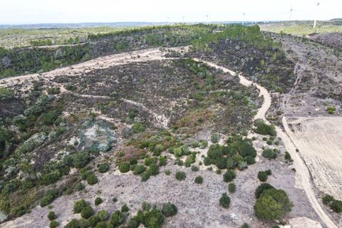 Terra a Bordeira, Faro, Bordeira - € 2.000.000 | Ref: T1556 - foto 9