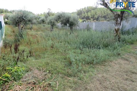 Terra a Cabecudo, Castelo Branco, Cabecudo - € 27.500 | Ref: PM32 - foto 10