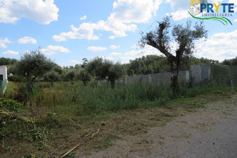 Terra a Cabecudo, Castelo Branco, Cabecudo - € 27.500 | Ref: PM32 - foto 11
