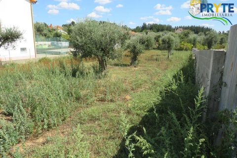Terra a Cabecudo, Castelo Branco, Cabecudo - € 27.500 | Ref: PM32 - foto 12