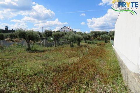 Terra a Cabecudo, Castelo Branco, Cabecudo - € 27.500 | Ref: PM32 - foto 13