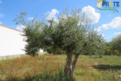 Terra a Cabecudo, Castelo Branco, Cabecudo - € 27.500 | Ref: PM32 - foto 14