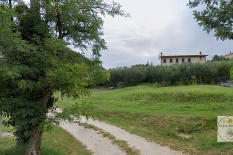 Terra a Baone, Padua, Baone - € 133.000 | Ref: T327 - foto 2