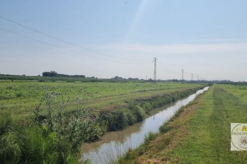 Helårsgrund i Loreo, Rovigo, Loreo - € 2.010.756 | Ref: T328 - foto 2