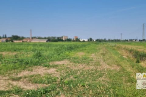 Helårsgrund i Loreo, Rovigo, Loreo - € 2.010.756 | Ref: T328 - foto 4