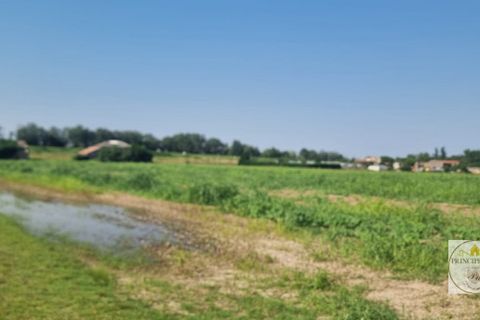 Helårsgrund i Loreo, Rovigo, Loreo - € 2.010.756 | Ref: T328 - foto 5