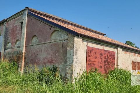 Helårsgrund i Loreo, Rovigo, Loreo - € 2.010.756 | Ref: T328 - foto 8