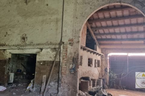 Helårsgrund i Loreo, Rovigo, Loreo - € 2.010.756 | Ref: T328 - foto 9
