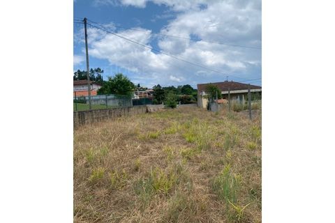 Terra a Alquerubim, Aveiro, Alquerubim - € 42.000 | Ref: LHP1120923 - foto 2
