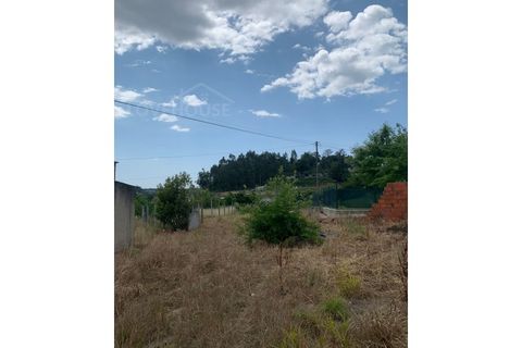 Terra a Alquerubim, Aveiro, Alquerubim - € 42.000 | Ref: LHP1120923 - foto 3