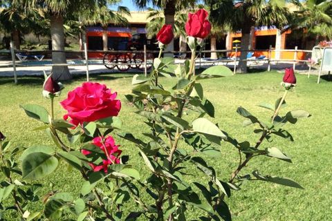 Finca i Coin, Malaga, Coin - € 6.200.000 | Ref: 428-01706P - foto 22