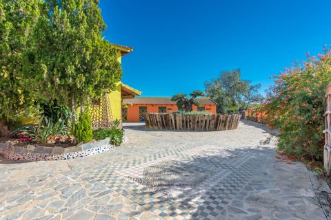 Finca i Coin, Malaga, Coin - € 6.200.000 | Ref: 428-01706P - foto 24