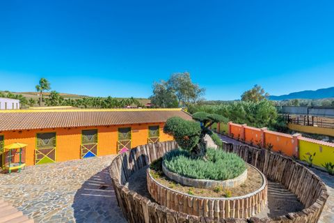 Finca i Coin, Malaga, Coin - € 6.200.000 | Ref: 428-01706P - foto 27