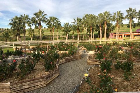 Finca i Coin, Malaga, Coin - € 6.200.000 | Ref: 428-01706P - foto 33