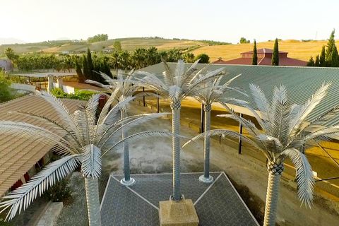 Finca i Coin, Malaga, Coin - € 6.200.000 | Ref: 428-01706P - foto 35