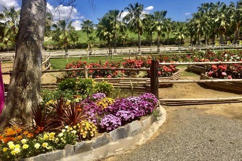 Finca i Coin, Malaga, Coin - € 6.200.000 | Ref: 428-01706P - foto 37