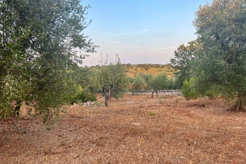 Helårsgrund i Ostuni, Brindisi, Ostuni - € 95.000 | Ref: 240 - foto 5