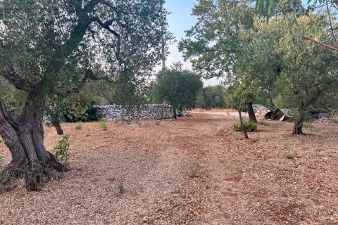 Helårsgrund i Ostuni, Brindisi, Ostuni - € 95.000 | Ref: 240 - foto 12