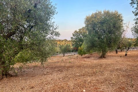 Helårsgrund i Ostuni, Brindisi, Ostuni - € 95.000 | Ref: 240 - foto 7