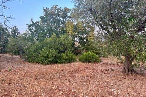 Helårsgrund i Ostuni, Brindisi, Ostuni - € 95.000 | Ref: 240 - foto 11