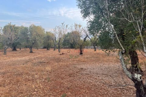Helårsgrund i Ostuni, Brindisi, Ostuni - € 95.000 | Ref: 240 - foto 10