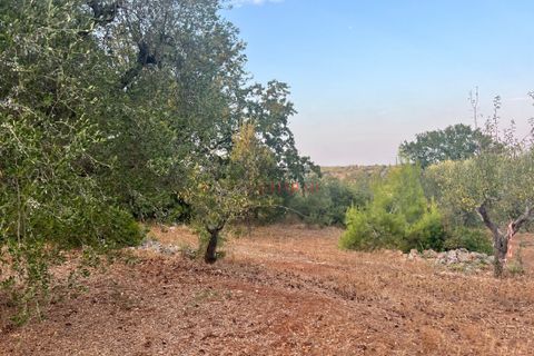 Helårsgrund i Ostuni, Brindisi, Ostuni - € 95.000 | Ref: 240 - foto 8