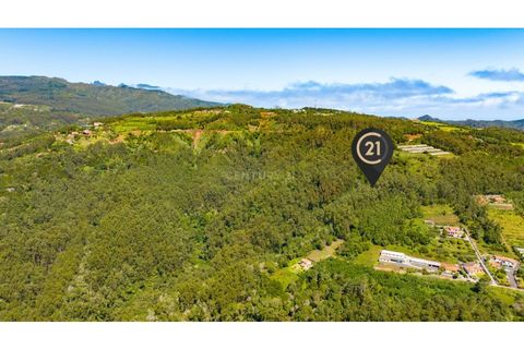 Helårsgrund i Caniço, Madeira, Caniço - € 10.350 | Ref: C0216-02768 - foto 2