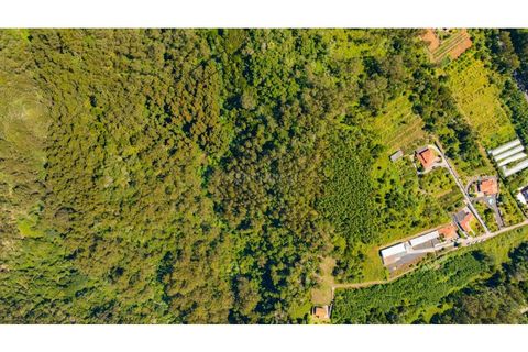 Helårsgrund i Caniço, Madeira, Caniço - € 10.350 | Ref: C0216-02768 - foto 3
