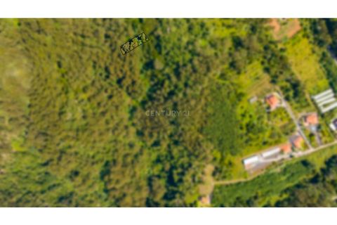 Helårsgrund i Caniço, Madeira, Caniço - € 10.350 | Ref: C0216-02768 - foto 5