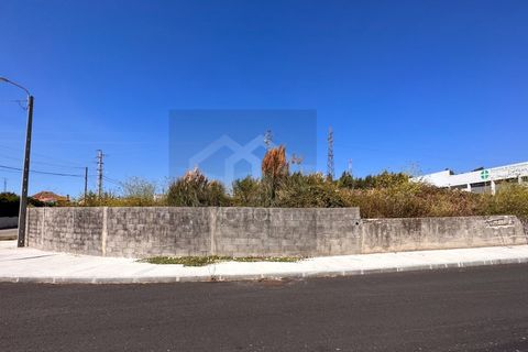 Tomt i Esmoriz, Aveiro, Esmoriz - € 240 000 | Ref: TER_575 - foto 4