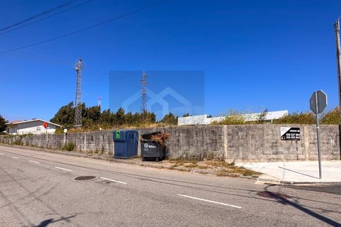 Tomt i Esmoriz, Aveiro, Esmoriz - € 240 000 | Ref: TER_575 - foto 5