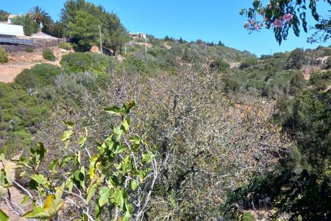 Helårsgrund i Budens, Faro, Budens - € 1.000.000 | Ref: 10335 - foto 11