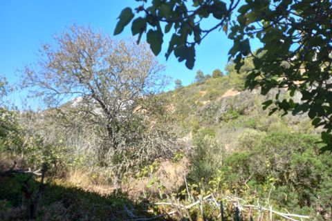 Helårsgrund i Budens, Faro, Budens - € 1.000.000 | Ref: 10335 - foto 13