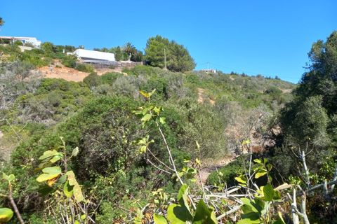 Helårsgrund i Budens, Faro, Budens - € 1.000.000 | Ref: 10335 - foto 15