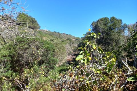 Helårsgrund i Budens, Faro, Budens - € 1.000.000 | Ref: 10335 - foto 16