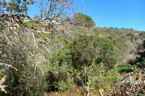 Helårsgrund i Budens, Faro, Budens - € 1.000.000 | Ref: 10335 - foto 17