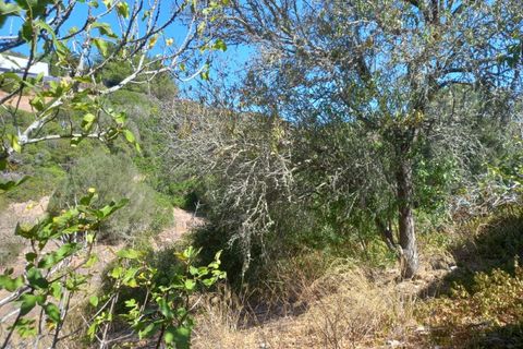 Helårsgrund i Budens, Faro, Budens - € 1.000.000 | Ref: 10335 - foto 26