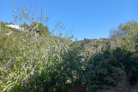 Helårsgrund i Budens, Faro, Budens - € 1.000.000 | Ref: 10335 - foto 27