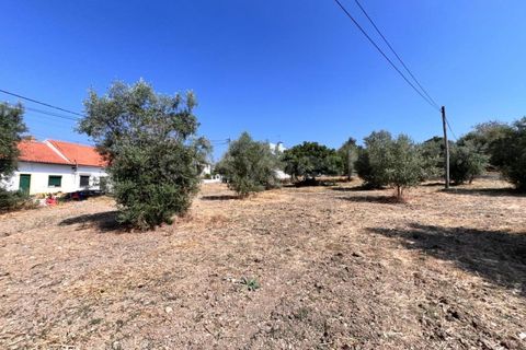 Terra a Olaia e Paco, Santarem, Olaia e Paco - € 120.000 | Ref: TM93445 - foto 2